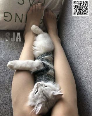 下载香蕉视频_国产剧神马在线观看