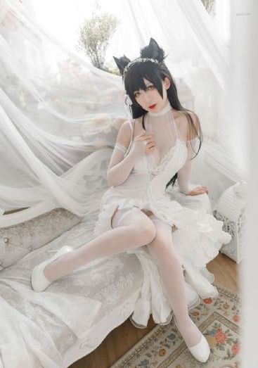 天天爽夜夜爽精品视频一_720HD在线观看